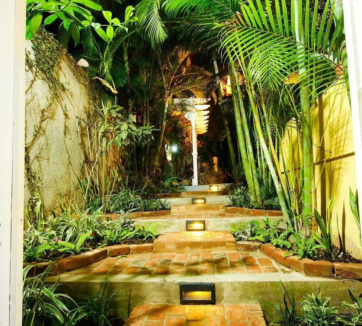 Πανσιόν Cattleya Luxury Suites Κίνγκστον