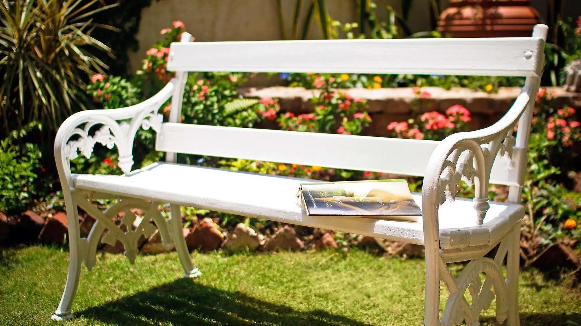 Πανσιόν Cattleya Luxury Suites Κίνγκστον